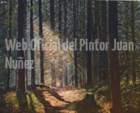 Contraluz_en_el_bosque_JPG