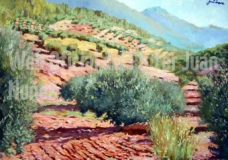 Olivares_JPG